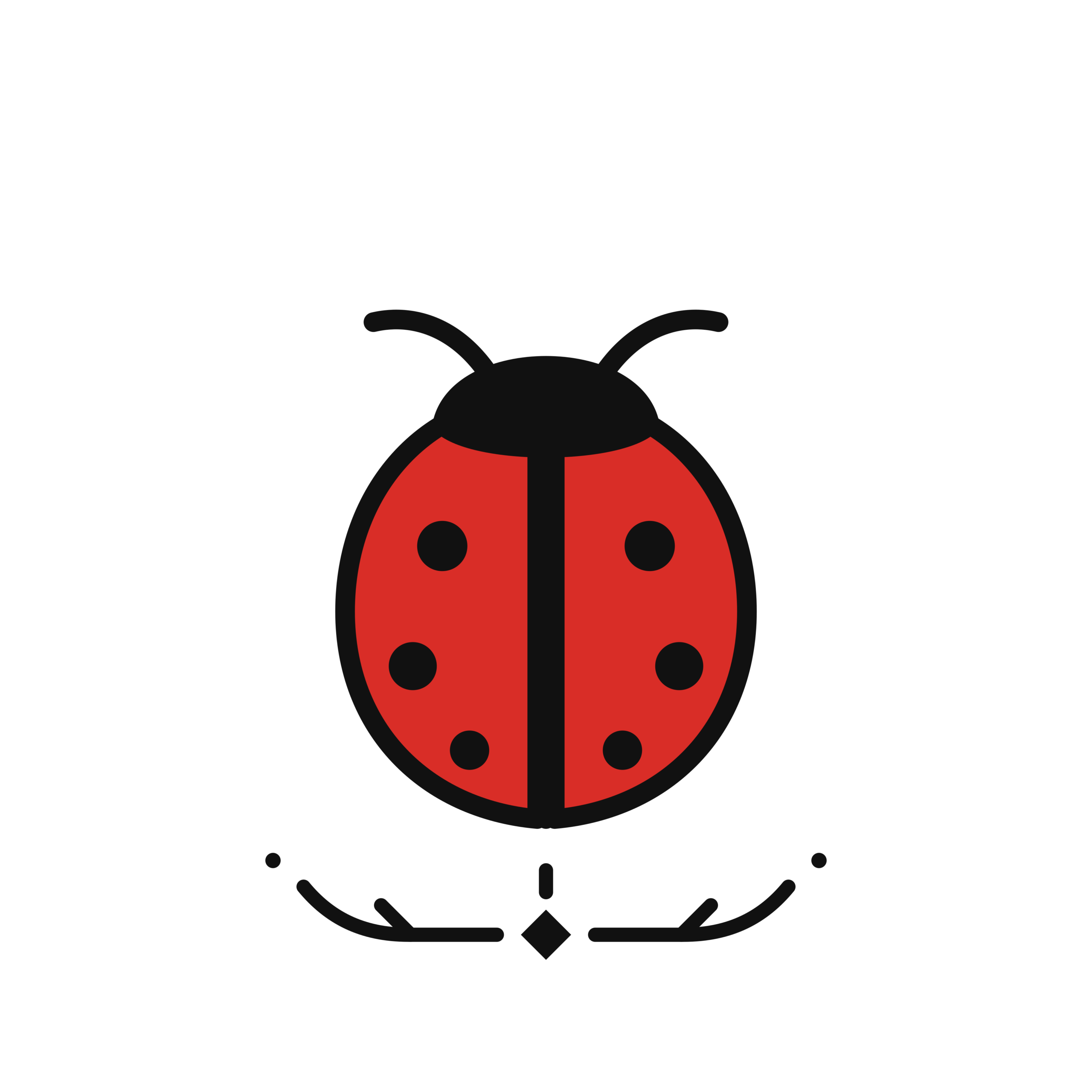 Krikuri